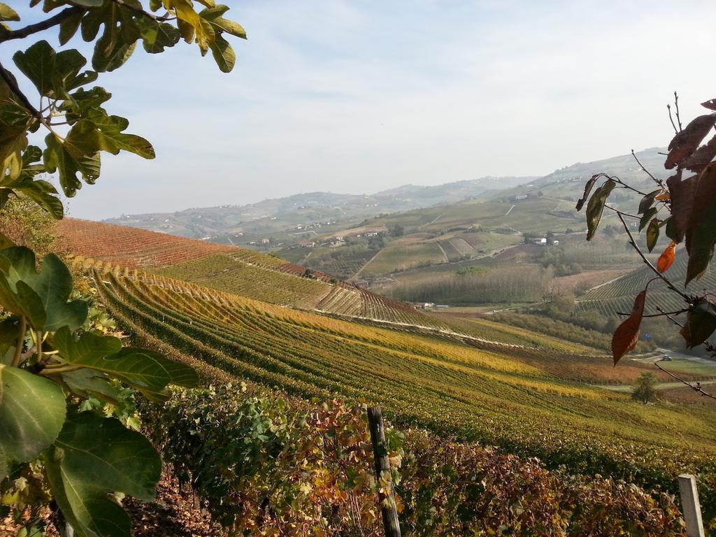 Villa Barbero Alba Langhe Mango Dış mekan fotoğraf